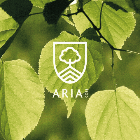 aria-goes.gif