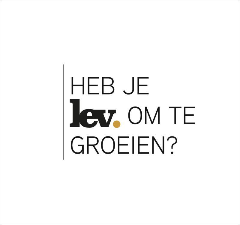 Ondernemen van LEV