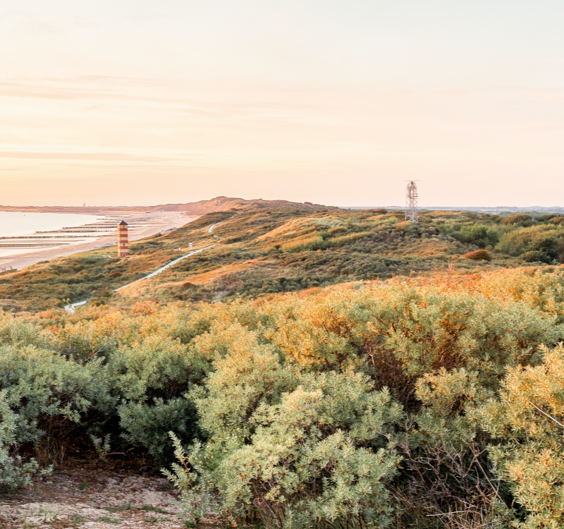 Strandhotel Westduin