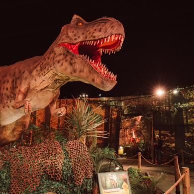 Dino World Goes