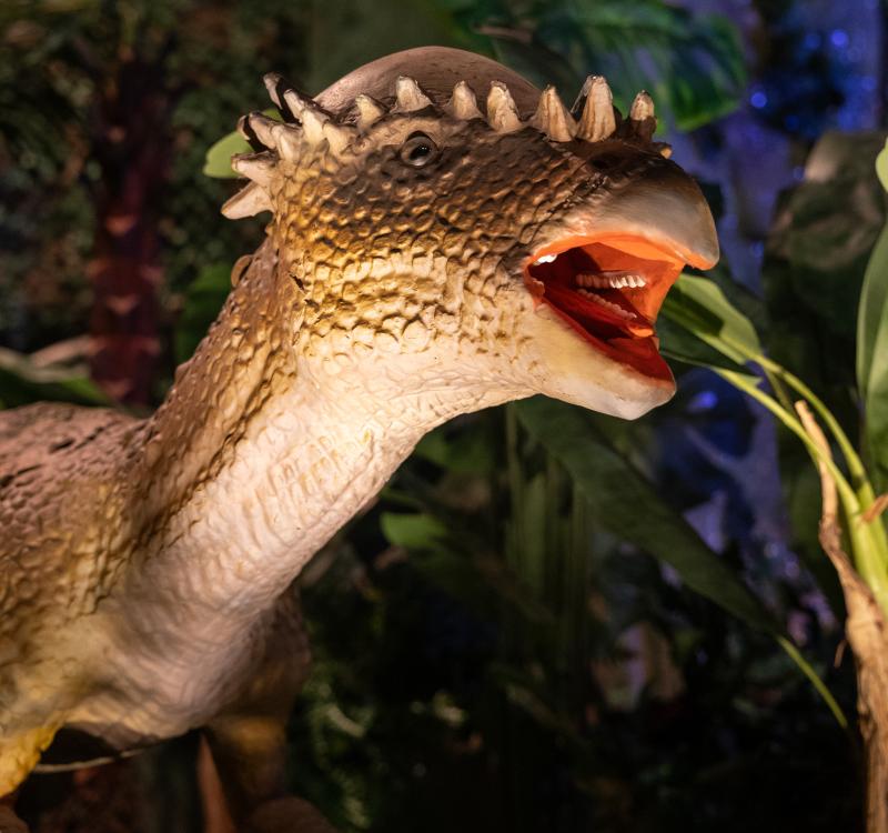 Dino World Goes