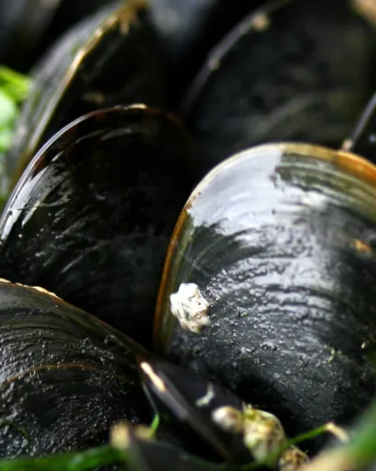 FoodDelta Zeeland