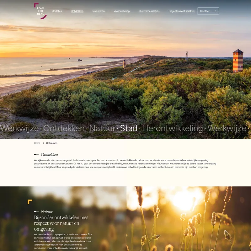 Onze expertise binnen web